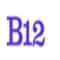B12 AI