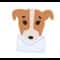 MailBuddy