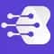 Bytesview Analytics