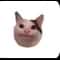Notescast