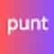 Punt AI