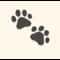 Pet Lens AI