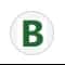 BuddyAI