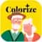 ImageColorizer