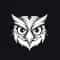 OpenOwl