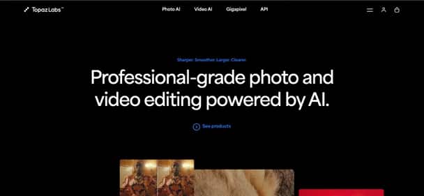 Topaz Labs - Tool preview