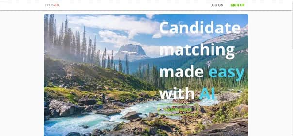 mosaic.ai - Tool preview