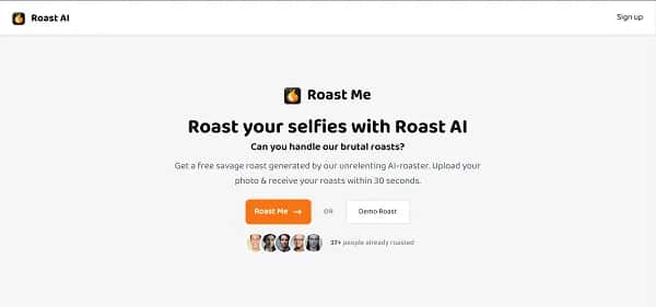 Roast AI - Tool preview