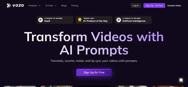 Vozo AI Video Translator - Tool preview