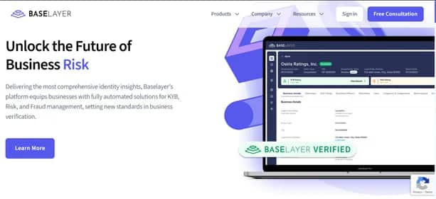 Baselayer - Tool preview