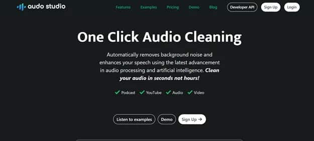 Audo Studio - Tool preview