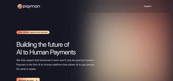 Payman - Tool preview