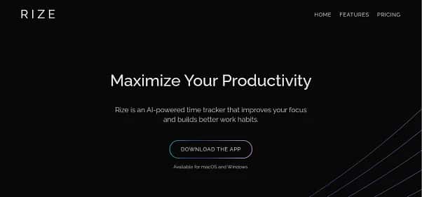 Rize AI - Tool preview