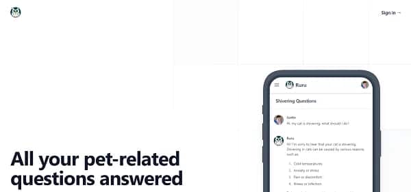 Ruru AI - Tool preview