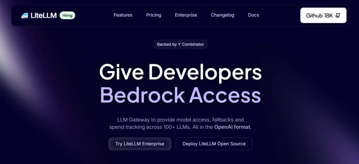 LiteLLM - Tool preview