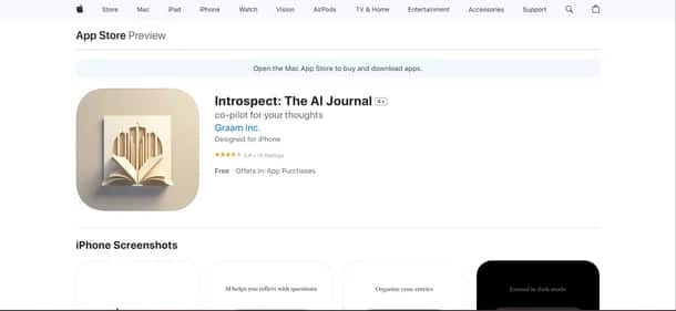 Introspect: The AI Journal - Tool preview