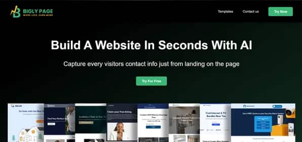 Bigly Page - Tool preview