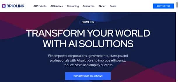 Briolink - Tool preview
