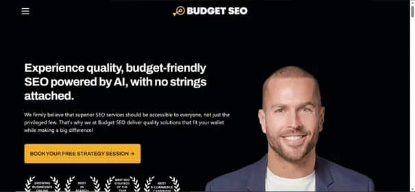Budget SEO - Tool preview