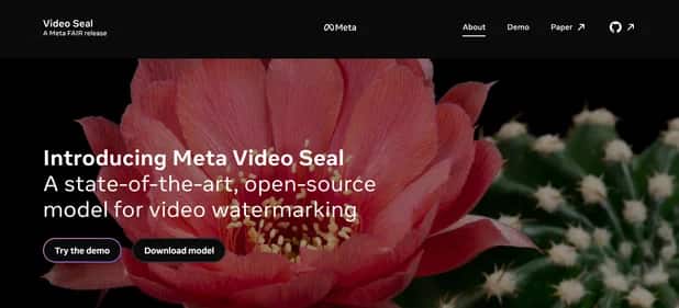 VideoSeal - Tool preview