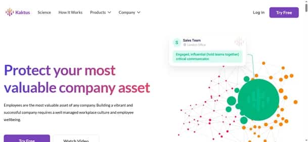 Kaktus AI - Tool preview