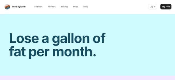 MealByMeal - Tool preview