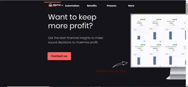 Nemo AI - Tool preview