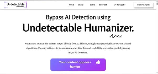 Undetectable Humanizer - Tool preview