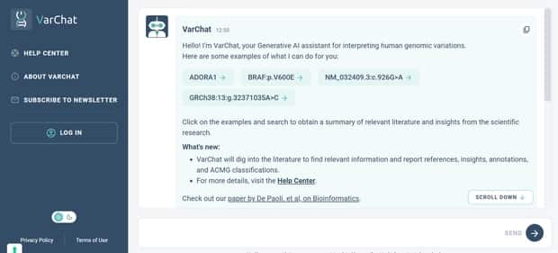 VarChat - Tool preview