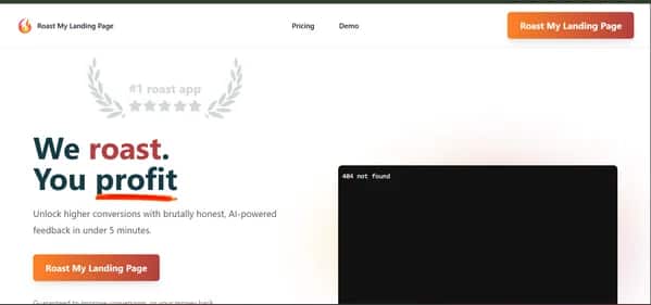 Roast My Landing Page - Tool preview