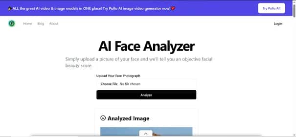 AI Face Analyzer - Tool preview