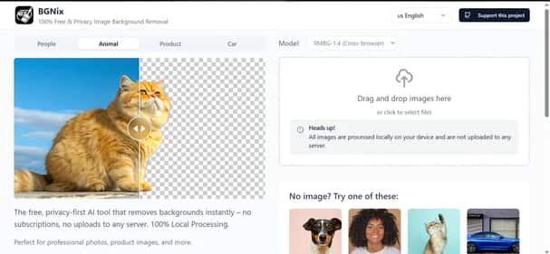 BGNIX - Tool preview
