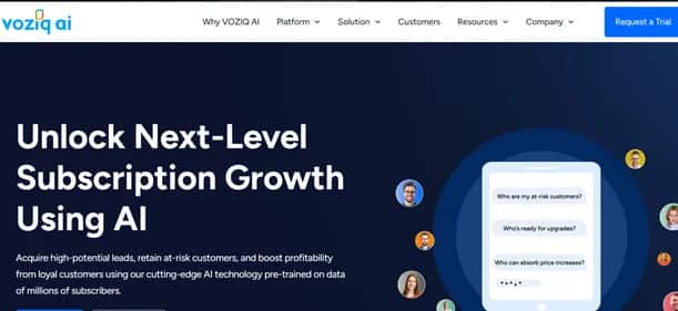 VOZIQ AI - Tool preview
