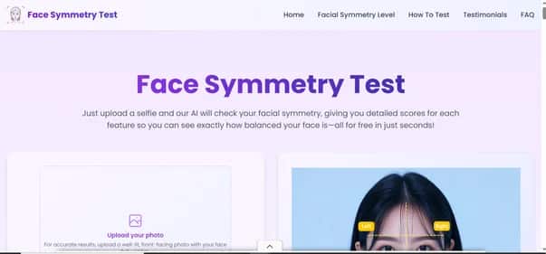 Face Symmetry Test - Tool preview