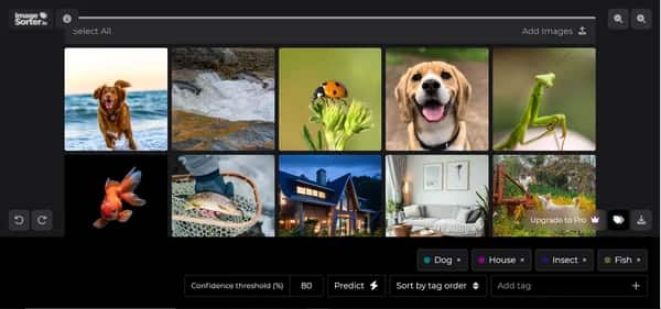 ImageSorter.io - Tool preview