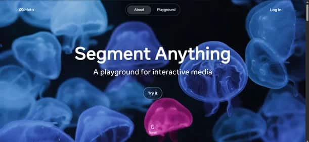Segment Anything - Tool preview
