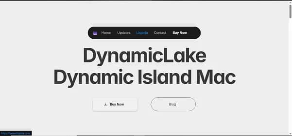 DynamicLake - Tool preview