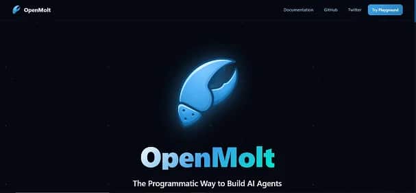 OpenMolt - Tool preview