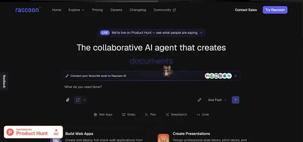 Raccoon AI - Tool preview