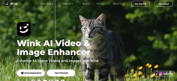 Wink AI - Tool preview