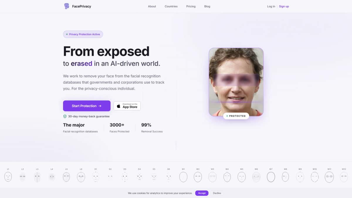 Face Privacy - Tool preview