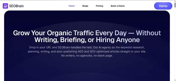 SEOBrain - Tool preview