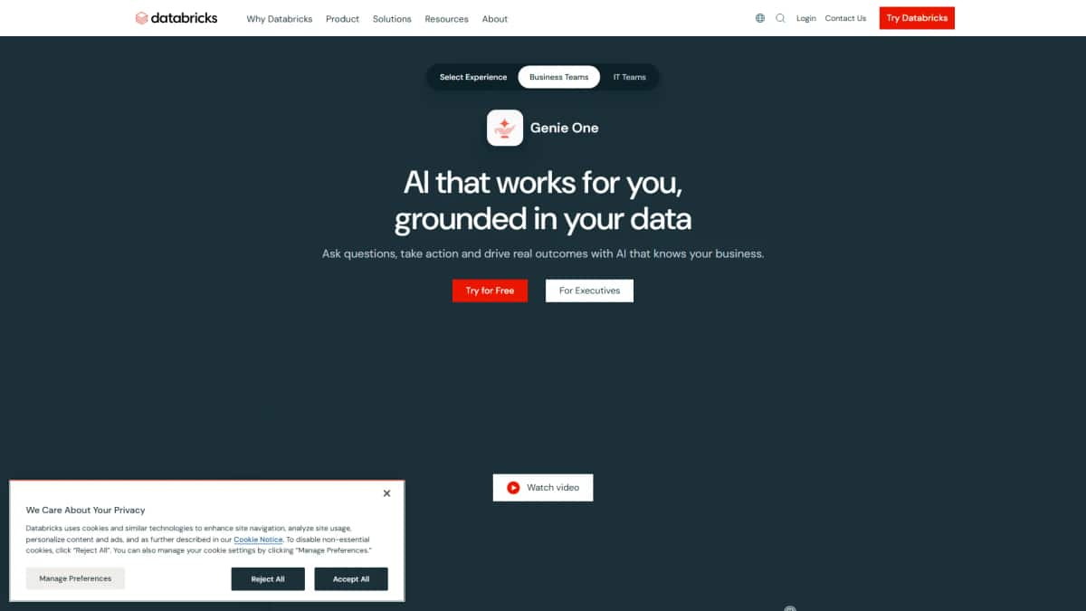 Databricks Genie One - Tool preview