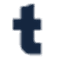 Type.ai icon