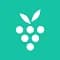 Berrycast icon