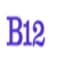 B12 icon