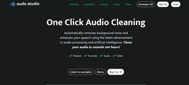 Audo Studio - Tool preview