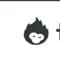 Tonkean icon