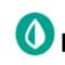 Mint AI icon