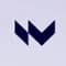 Nevermined icon